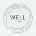 WELL银级